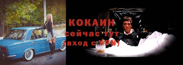 крисы Магадан
