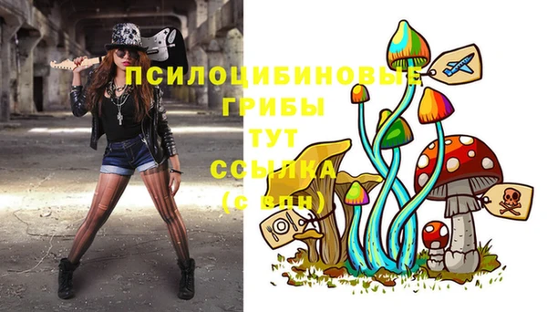 мяу мяу мука Мегион
