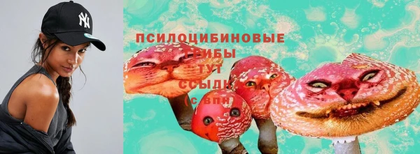 крисы Магадан