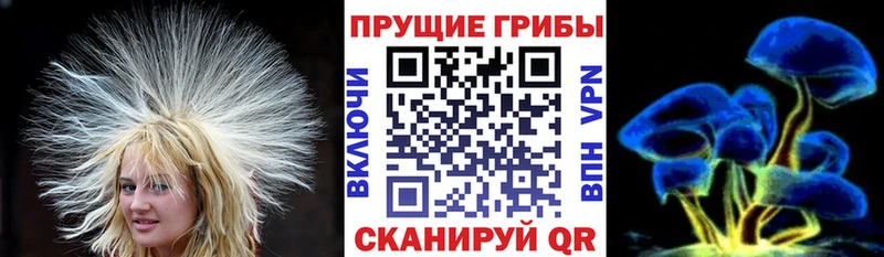Галлюциногенные грибы GOLDEN TEACHER  Плавск 